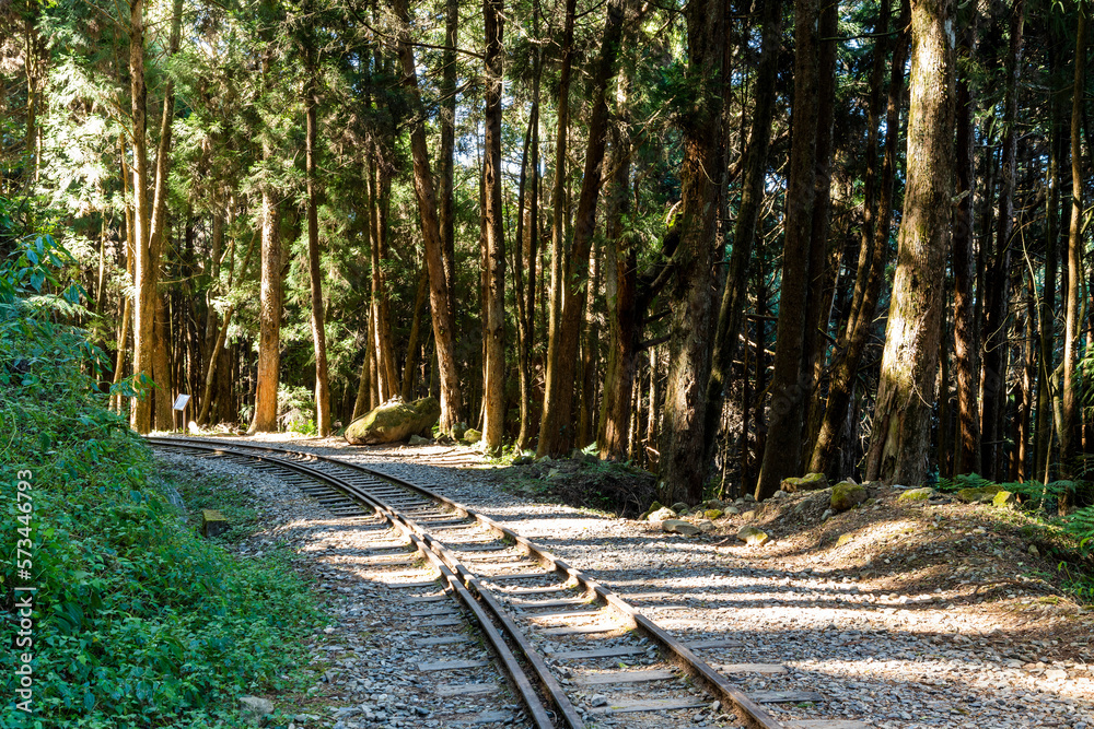 The old forest railway section of the Shuishan Trail at Alishan Forest Recreation Area in Chiayi, Taiwan. Now obsolete and unable to operate. The old forest railway section of the Shuishan Trail at Alishan Forest Recreation Area in Chiayi, Taiwan. Now obsolete and unable to operate.