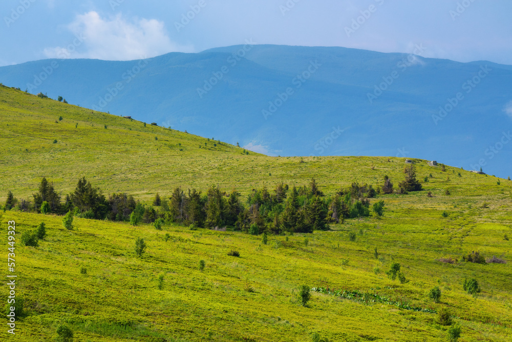 carpathian countryside with forested hills. green landscape in mountains on a sunny summer day carpathian countryside with forested hills. green landscape in mountains on a sunny summer day
