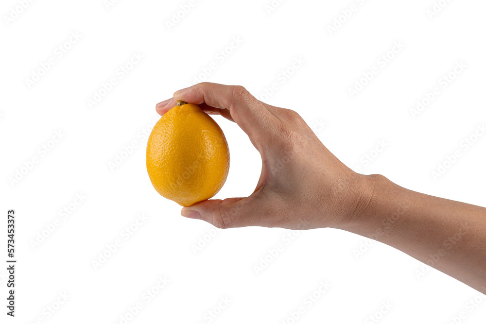 Lemon fruit in hand isolated on transparent background.