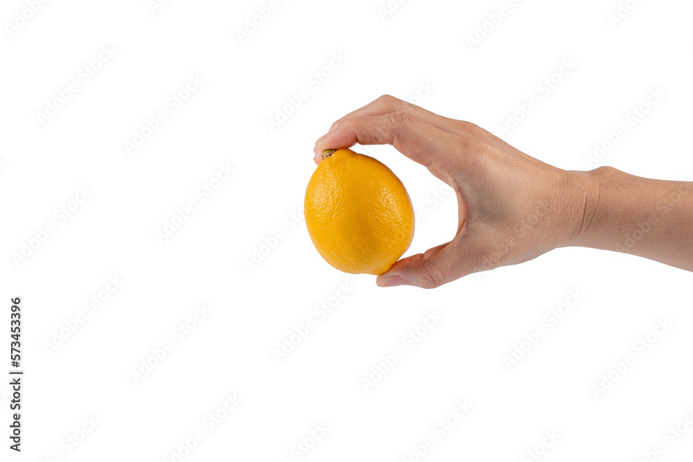 Lemon fruit in hand isolated on transparent background. Lemon fruit in hand isolated on transparent background.