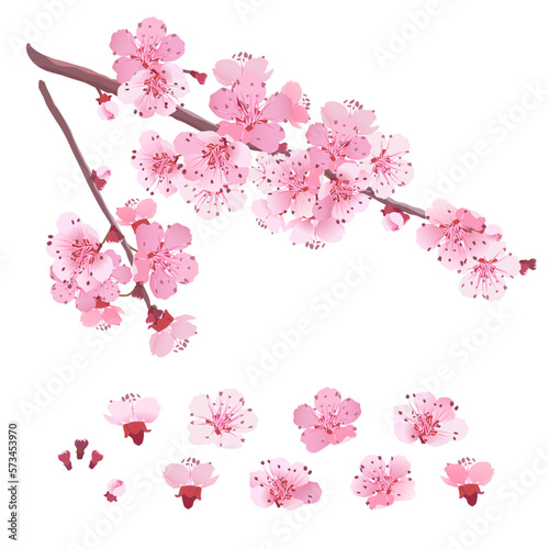Sakura, great design for any purposes. Vintage illustration. Romantic concept. Retro style. Website template. Fashion print. Love symbol on white background.