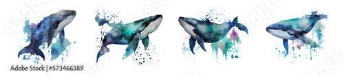 Watercolor whale on a white background. Beautiful blue whale. 52 hertz. Inhabitant in the waters of the oceans. Whale watercolor set. Ideal for postcard, book, poster, banner. Vector illustration
