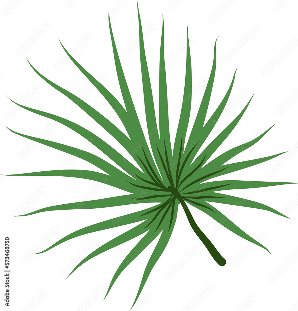 Tropical leaf vector