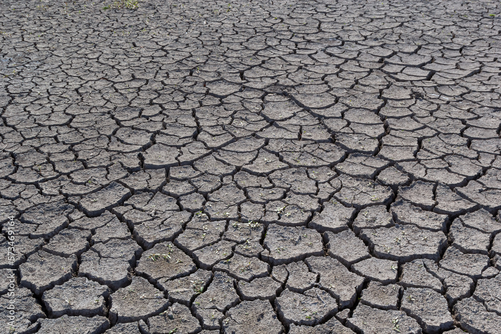 The ground has cracks in the top view for the background or graphic design with the concept of drought and death The ground has cracks in the top view for the background or graphic design with the concept of drought and death