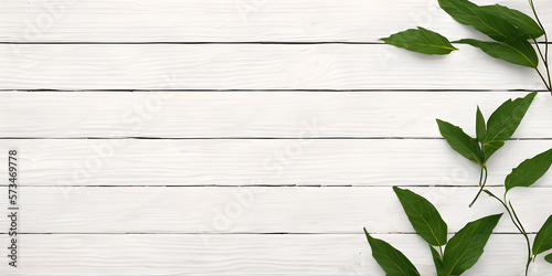 white wood wall with green ...