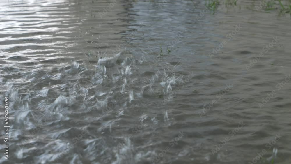 Slow motion of water droplets bursting over a puddle on a rainy day Slow motion of water droplets bursting over a puddle on a rainy day