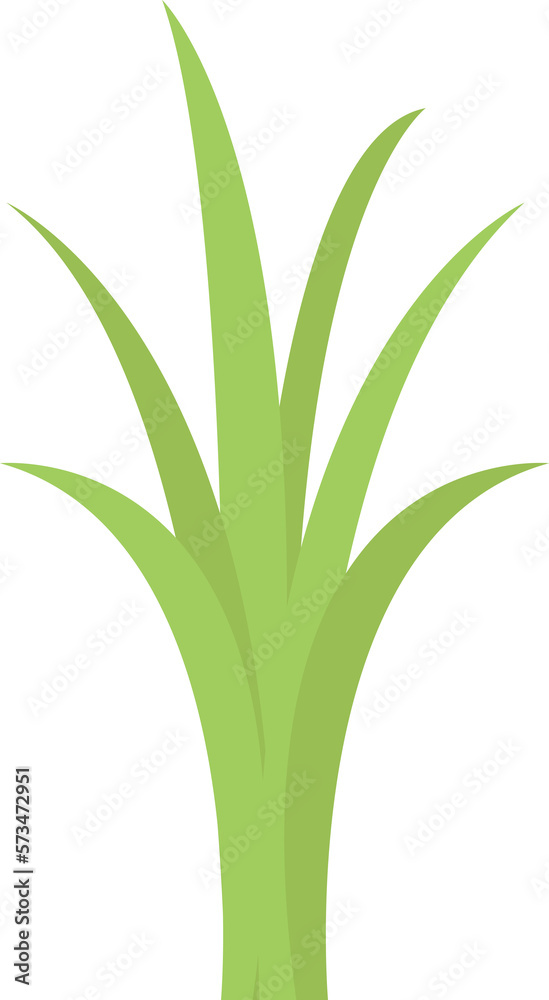 Grass Grass