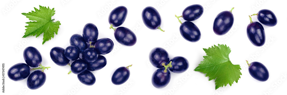 Fototapeta premium blue grapes isolated on the white background. Top view. Flat lay pattern