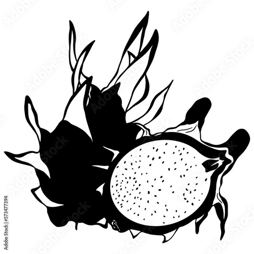 dragon fruit outline, Agriculture fruit, Gardening, farming, Organic food