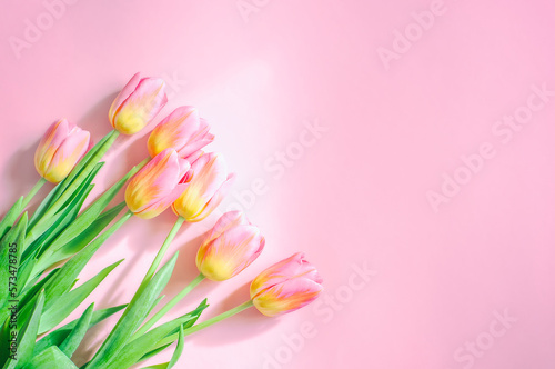 Fototapeta Naklejka Na Ścianę i Meble -  Mother's Day, Women's Day, tulips on a pink background. spring. High quality photo