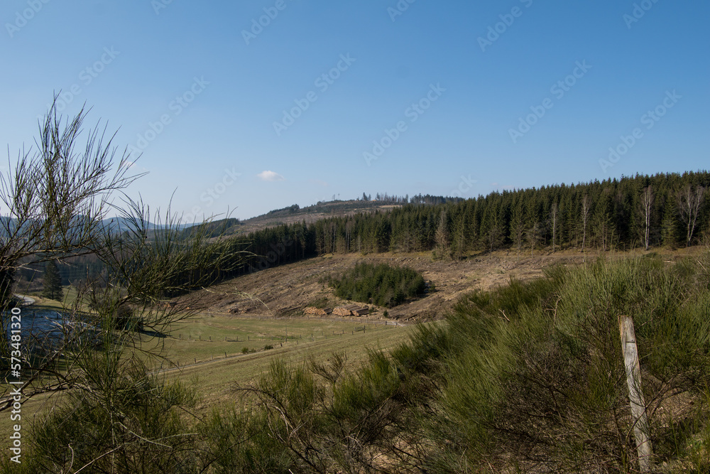 Landscape with blue sky near the german city called Bad Berleburgat the mountain Rinnekopf