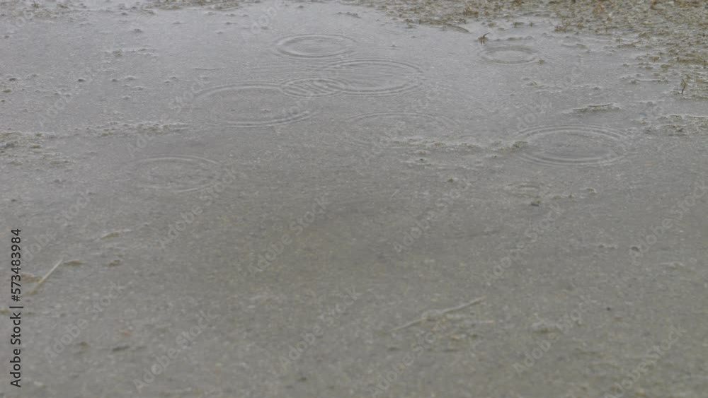 Slow motion of water drops falling in a puddle and ripples emerging on a rainy day Slow motion of water drops falling in a puddle and ripples emerging on a rainy day