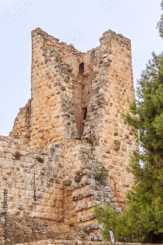 Ajloun Castle built by the Ayyubids, Jordan © Nataliya