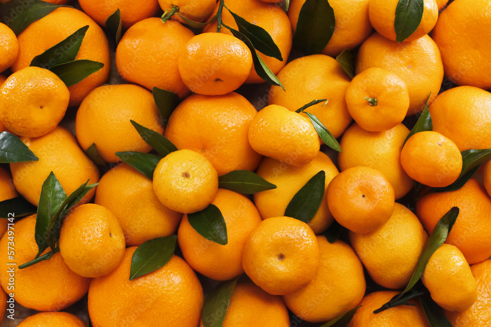 Colorful bright background of fresh ripe sweet citrus fruits, orange tangerines from market, selective focus, shallow DOF Colorful bright background of fresh ripe sweet citrus fruits, orange tangerines from market, selective focus, shallow DOF
