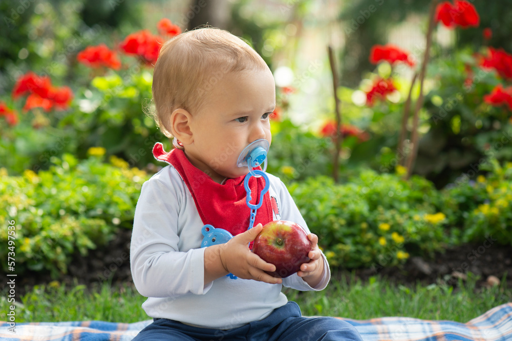 A boy is sitting on the grass and holding a red apple A boy is sitting on the grass and holding a red apple