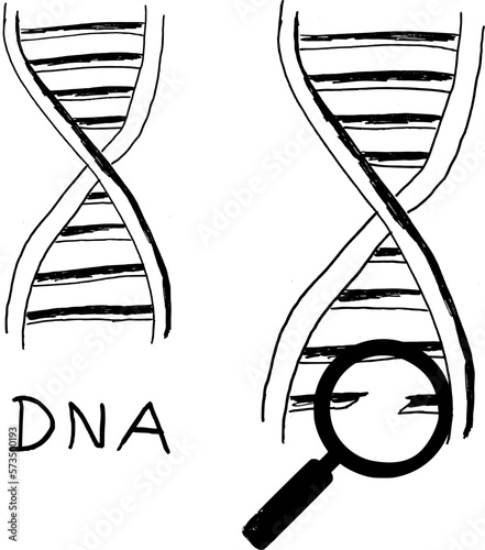 DNA (Desoxyribonukleinsäure) Helix mit Lupe -Handskizze