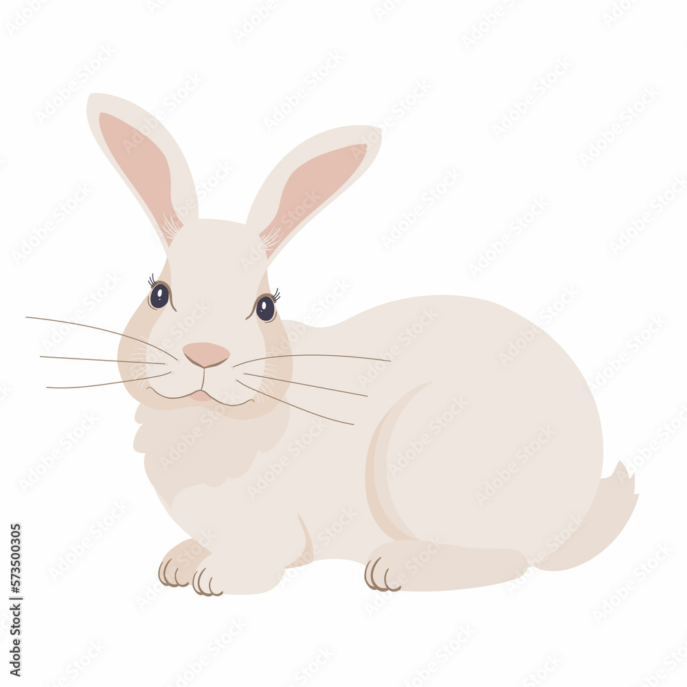 Obraz premium Vector illustration of a rabbit, close - upview isolated on a white background. Bunny graphics for Easter stickers and postcards.