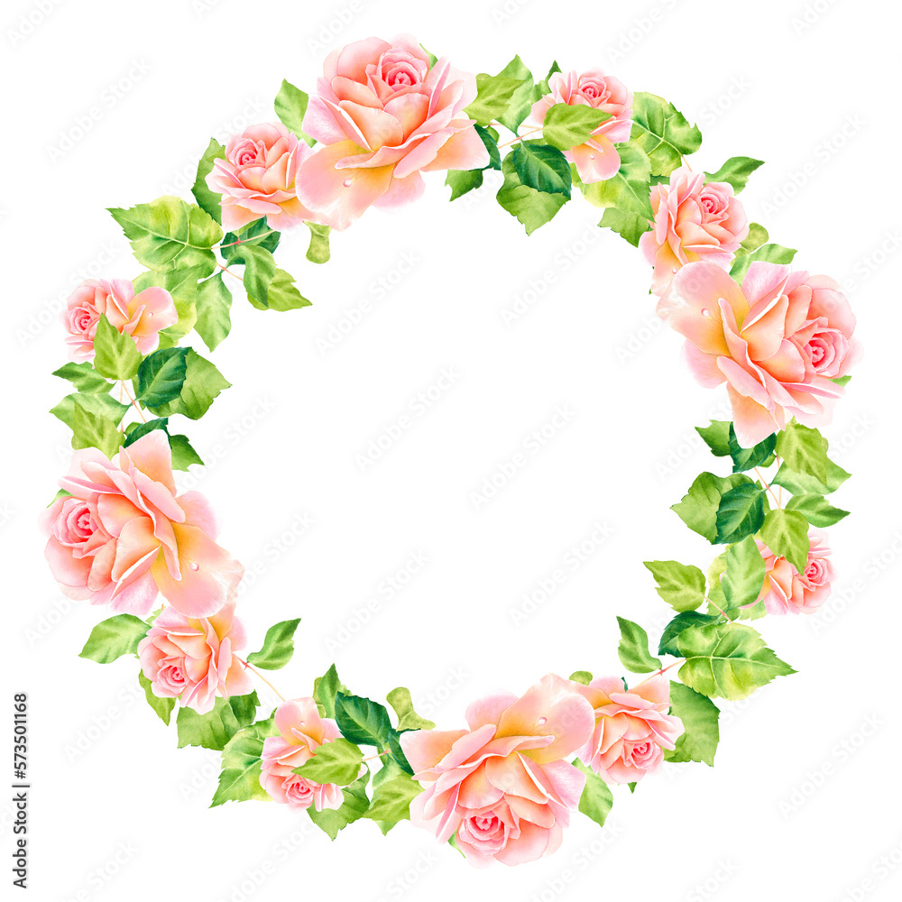 A wreath of pink roses. Watercolor illustration. Delicate roses. Rose garden. Botanical illustration.