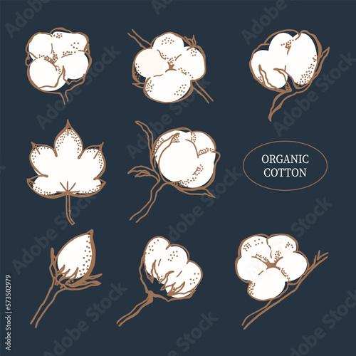 Vector hand drawn set of cotton branches. Cotton flower buds in elegant style. Botanical art isolated ondark blue background. Use for print, poster, sticker, card, decoration and other design. photo