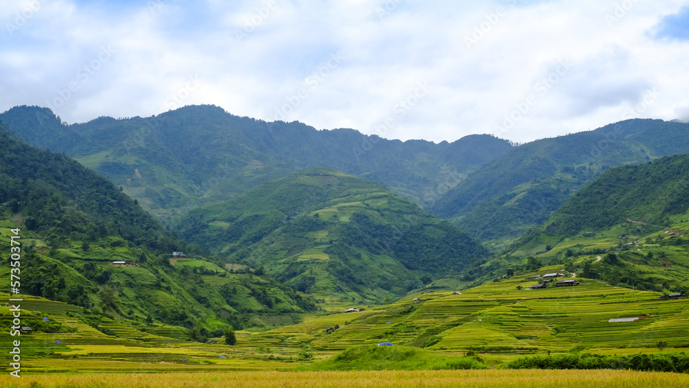 Fototapeta premium In agriculture, a terrace is a piece of sloped plane: northern of Vietnam