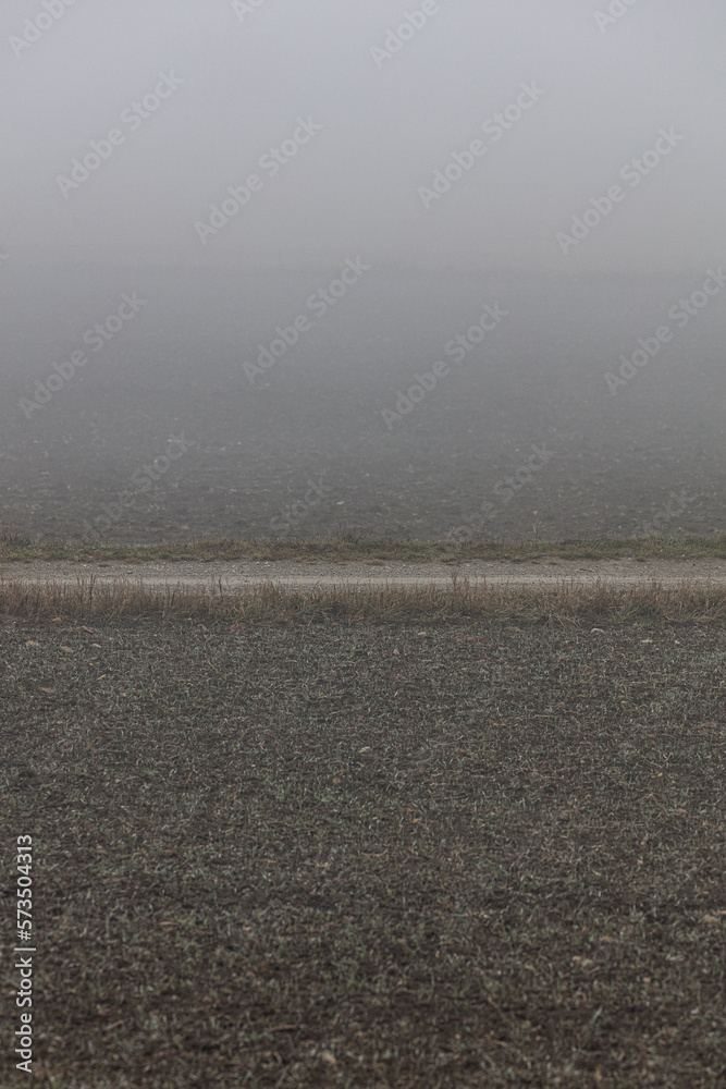 Obraz premium road in the mist