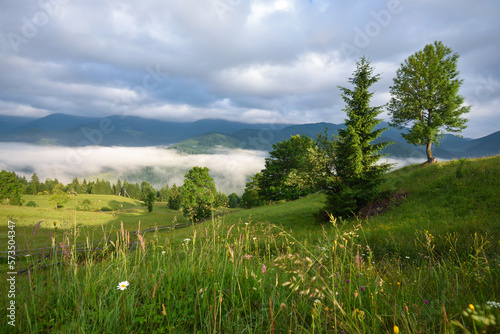 Splendid mountain valley is covered with fog and green alpine meadows. Foggy landscape.