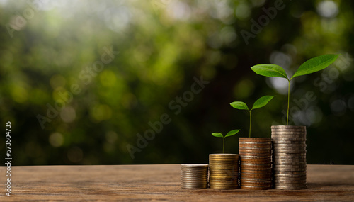 The seedlings are growing on the coins that are stacked together against of sun light..