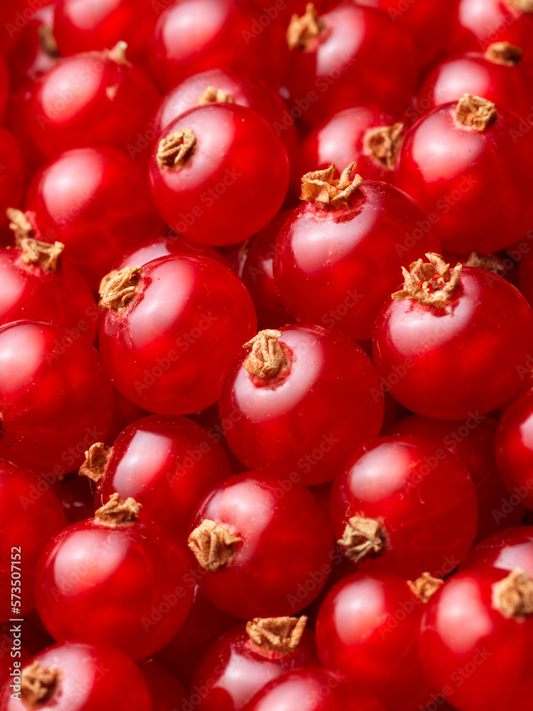 Roter_Johannisbeeren_Teppich_03 Roter_Johannisbeeren_Teppich_03