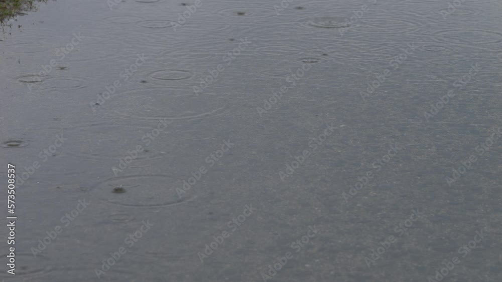 Slow motion of water drops falling in a puddle and ripples emerging on a rainy day Slow motion of water drops falling in a puddle and ripples emerging on a rainy day