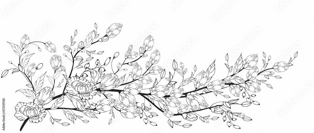 Fototapeta premium A beautiful blooming branch, richly decorated with flowers, buds, and leaves. Hand drawing.