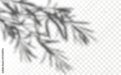 Realistic shadow tropical leaves and branches on transparent checkered background. The effect of overlaying shadows. Natural light layout.