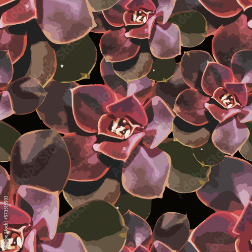 Succulents seamless pattern