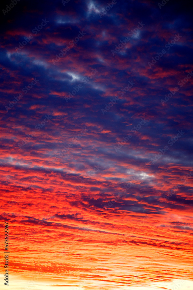 Fototapeta premium Gloomy dramatic clouds at sunset. Beautiful ultramarine clouds at sunset in the park. The concept of nature, storm, disaster.