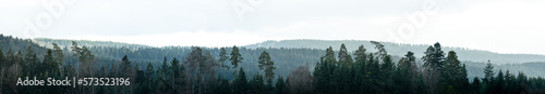 Fotografiet Amazing mystical rising fog forest trees woods landscape view in black forest bl