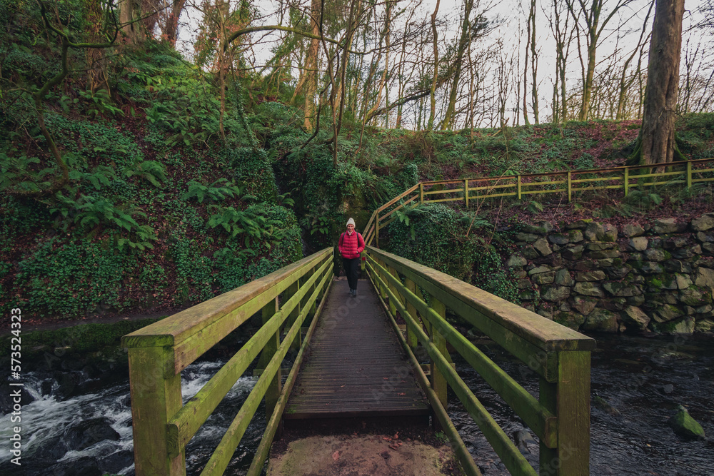A woman hiker walker, with red winter jacket, stepping across a bridge with wide camera lens close to Glenoe waterfall, nestling in the glens of Antrim, Northern Ireland, with green moss and trees.