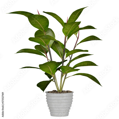 plant in pot, isolated on white, photoreal 3d render