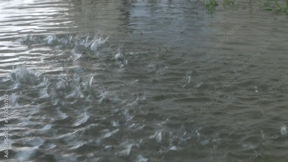 Slow motion of water droplets bursting over a puddle on a rainy day Slow motion of water droplets bursting over a puddle on a rainy day