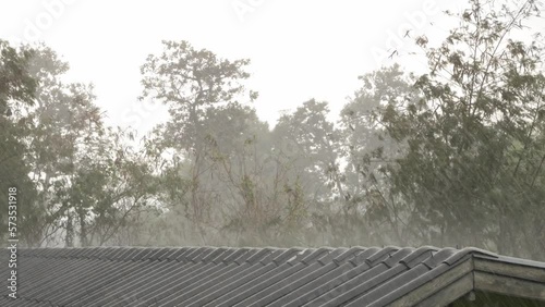 Raining hard from roof tile top view or second floor view with nature tree background