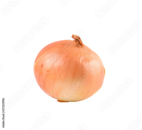 Ripe onion on transparent png
