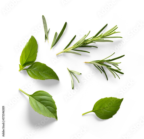 Tela Fresh green organic basil and rosemary leaves isolated on white background