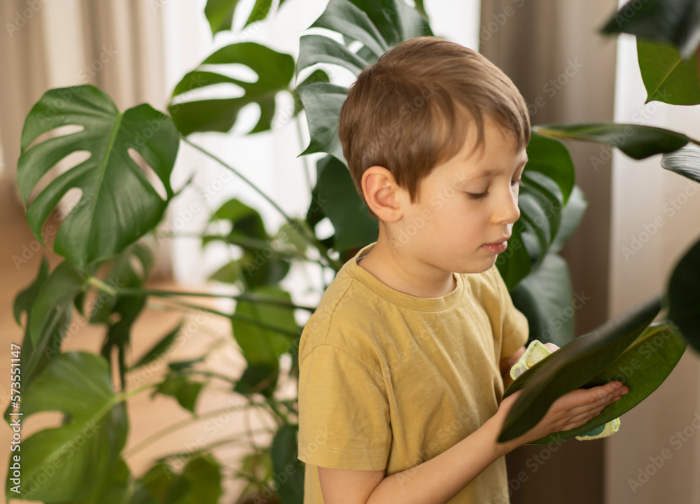 A little boy helps with cleaning around the house and taking care of the plants. Spring cleaning concept A little boy helps with cleaning around the house and taking care of the plants. Spring cleaning concept