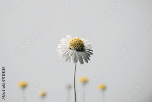 Minimalist Flower Background. Illustration AI Generative