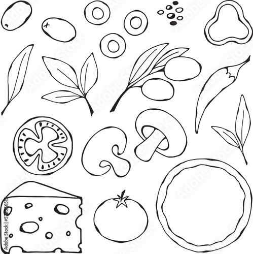 Vector, black -white illustration of a set of insulated products for pizza. Tomato, olives, cheese, greens, mushrooms, pepper, spices as elements for design and design. Drawn by hand. © Svitlana