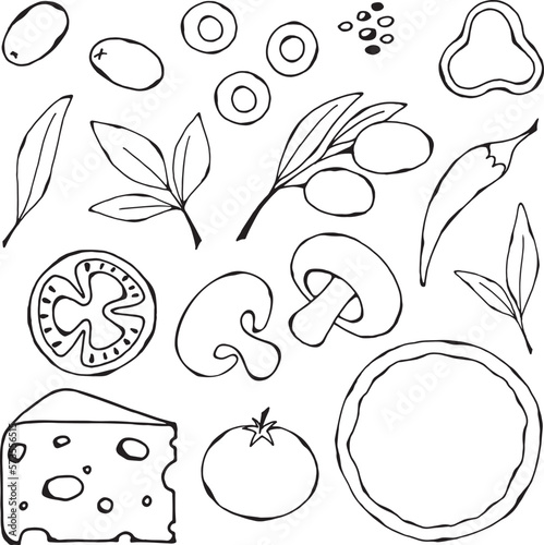 Vector, black -white illustration of a set of insulated products for pizza. Tomato, olives, cheese, greens, mushrooms, pepper, spices as elements for design and design. Drawn by hand.