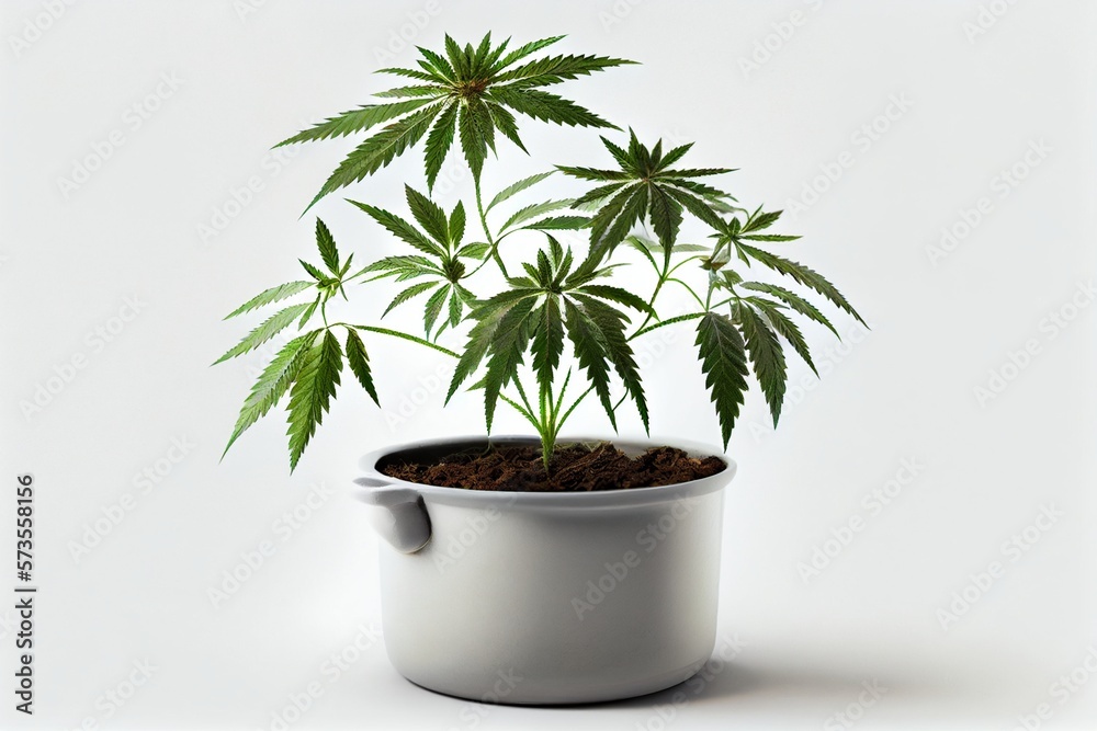 Cannabis in a pot. Generative AI, Generative, AI Cannabis in a pot. Generative AI, Generative, AI