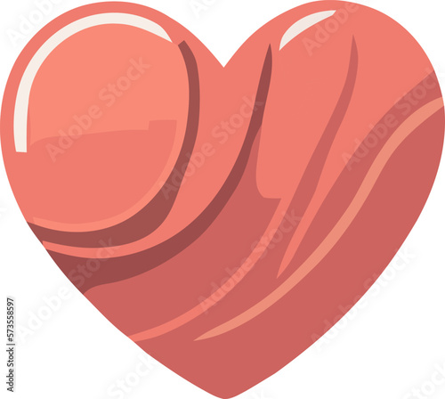 vector illustration of a red heart