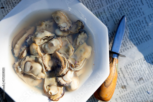 Fotografie Shucked oysters in a bowl.