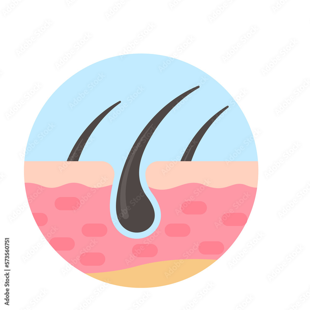 hair follicles on human skin hair disorder hair care hair follicles on human skin hair disorder hair care