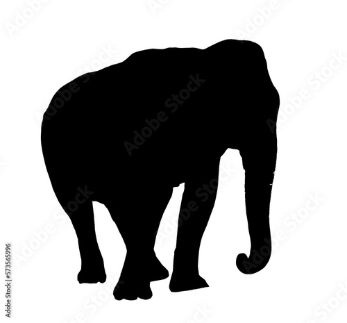 silhouette elephant PNG transparent