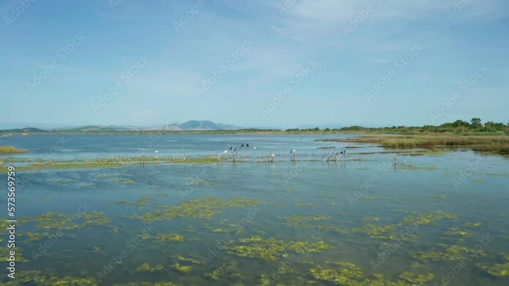 Birds on the Branch fly Away. Ulcinj Salt Pond Birds Watch. The Salt Flats Ulcinj is One of the few Remaining Coastal Wetlands and Bird Sanctuaries on the Eastern Adriatic. Birds on the Branch fly Away. Ulcinj Salt Pond Birds Watch. The Salt Flats Ulcinj is One of the few Remaining Coastal Wetlands and Bird Sanctuaries on the Eastern Adriatic.